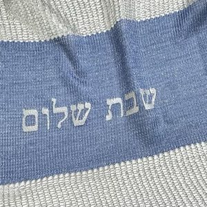 Sheer Mesh Jeans-Silver